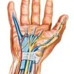 Carpal Tunnel Image