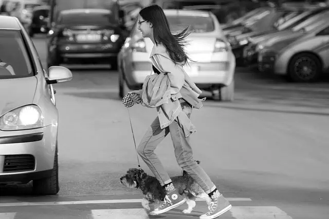female pedestrian crossing with her dog