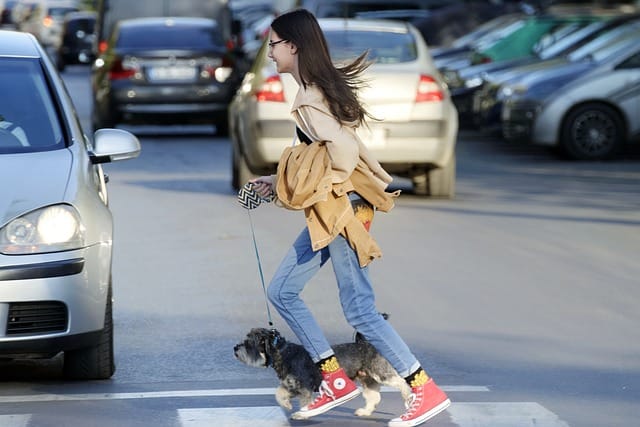 pedestrian with dog