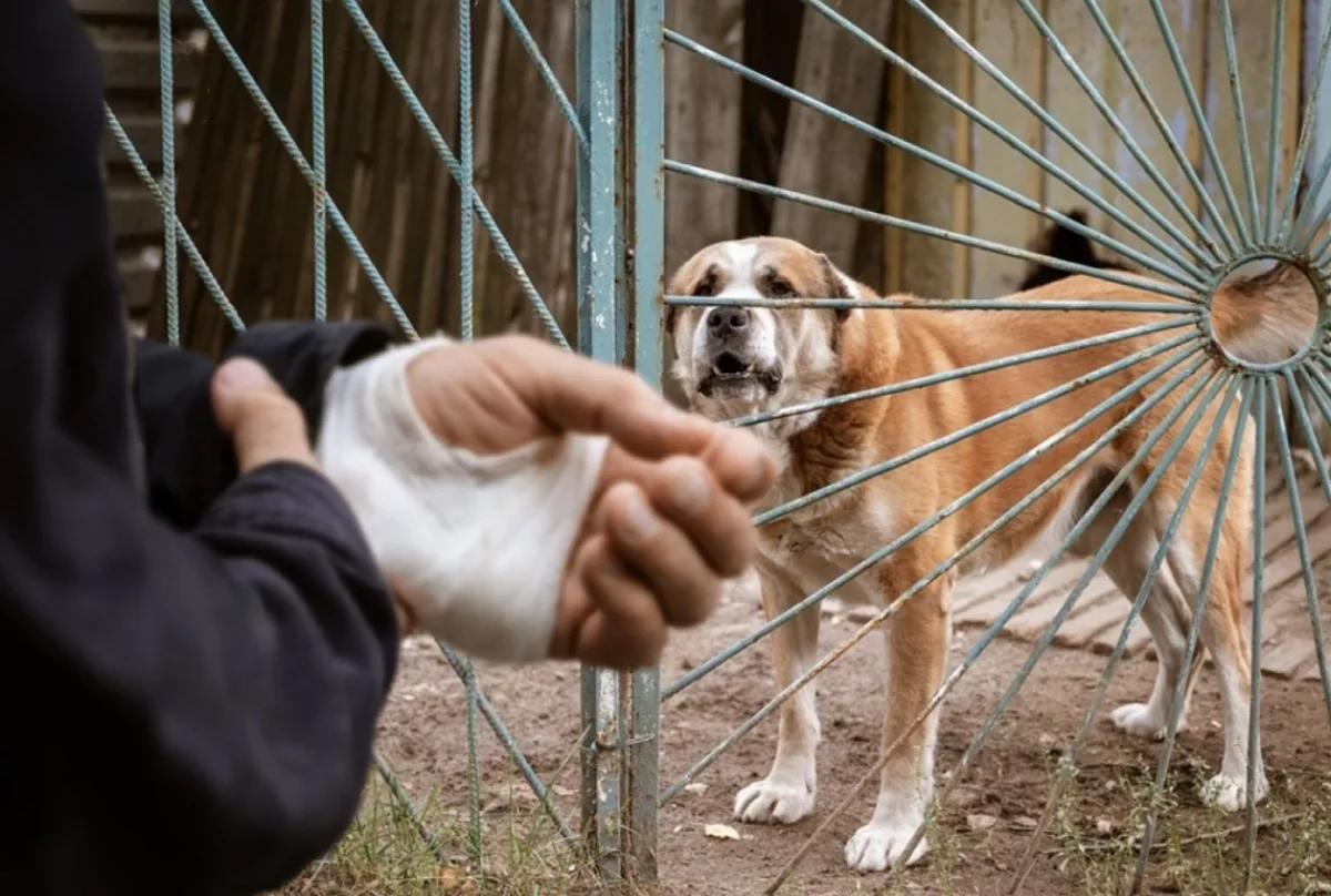 Dog bites lawyer representing victims of dog bite injuries.